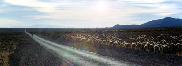 click for a bigger photo