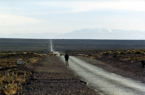 click for a bigger photo